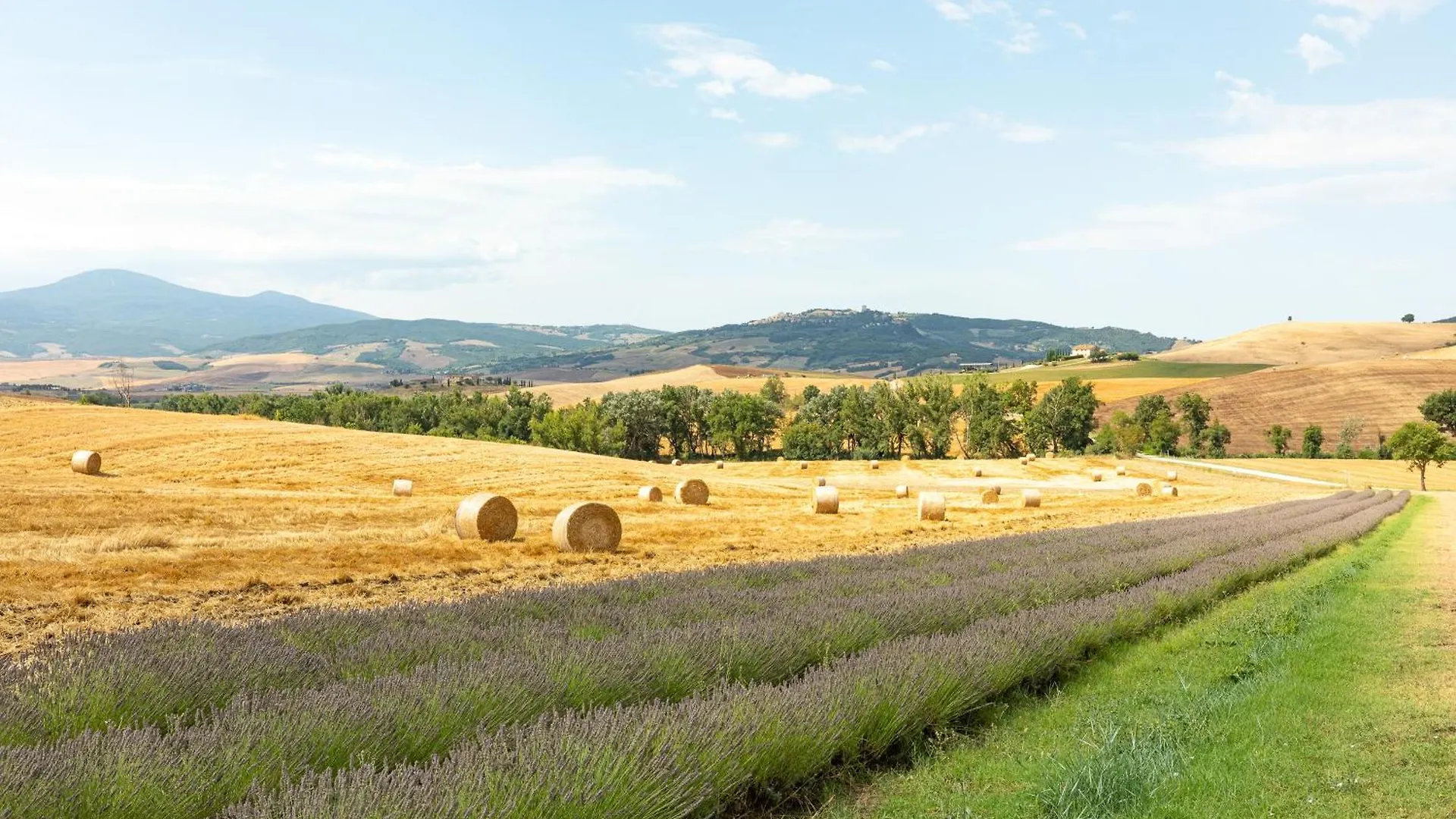 Agriturismo Selvoli - Il Bruco بيينْسا